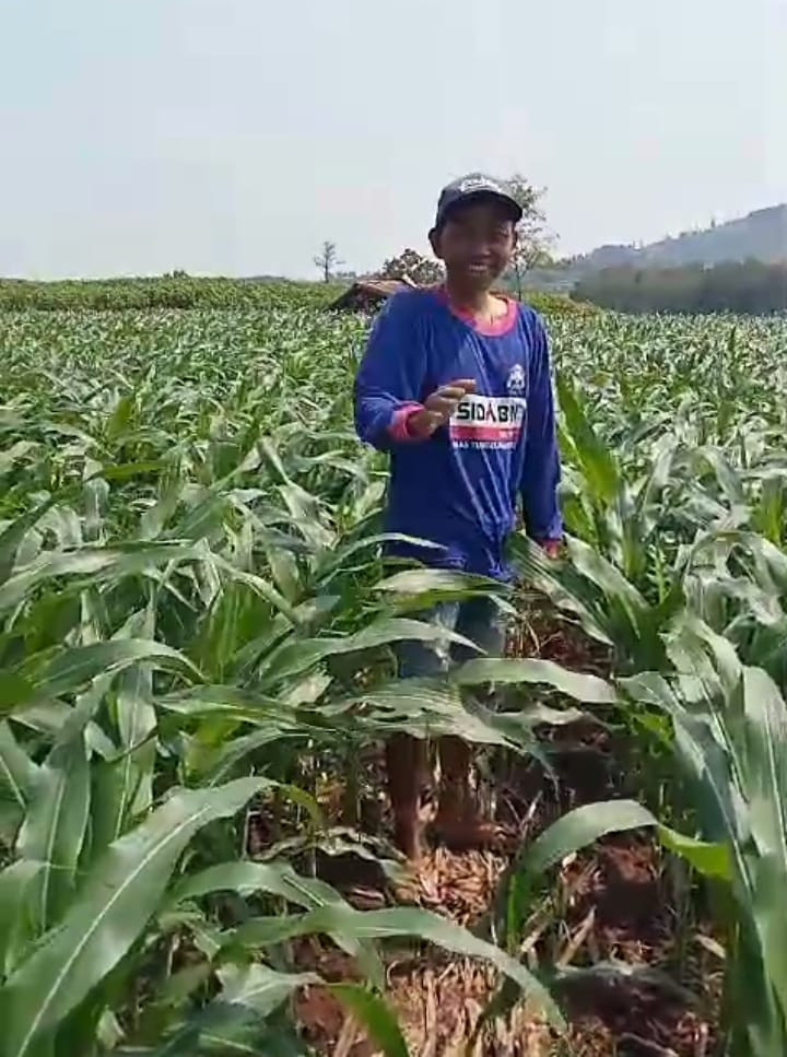 $rows[judul]